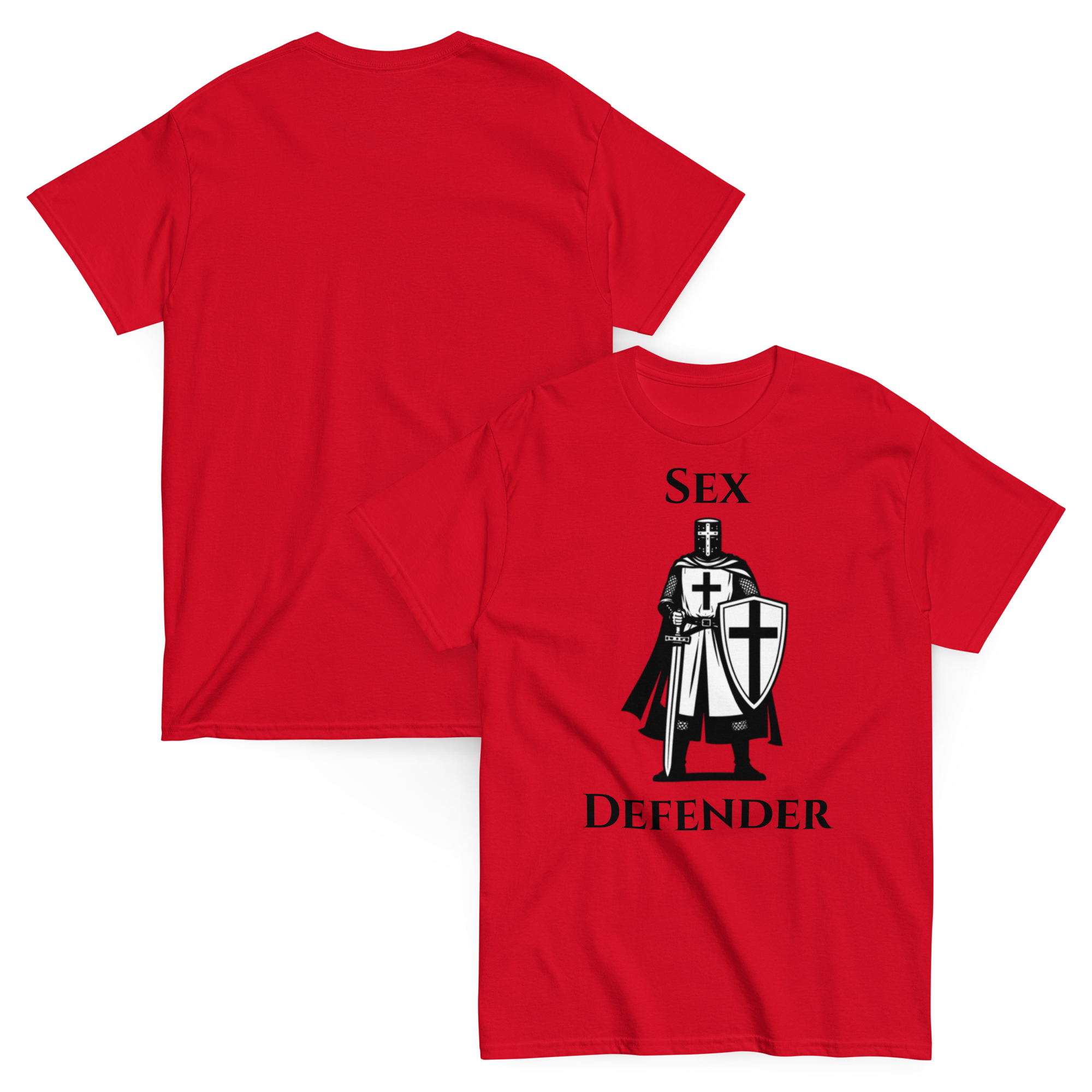 Holy Defender — Funny Dark Humor Graphic Tee Inappropriate Gift